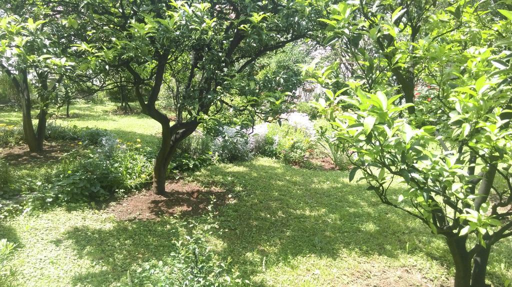 Apartment Ruzica Krstic Herceg Novi Eksteriør billede