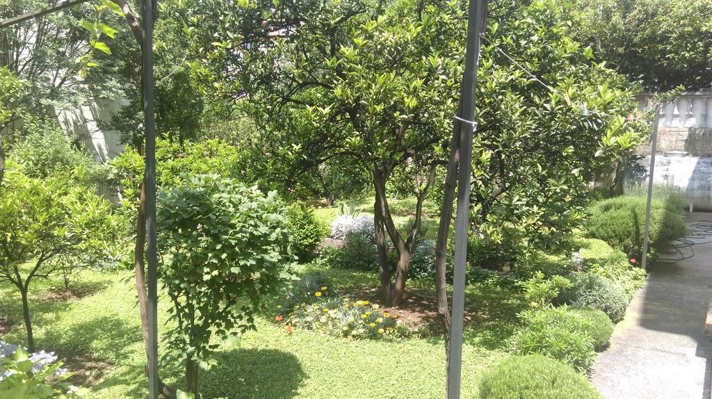 Apartment Ruzica Krstic Herceg Novi Eksteriør billede