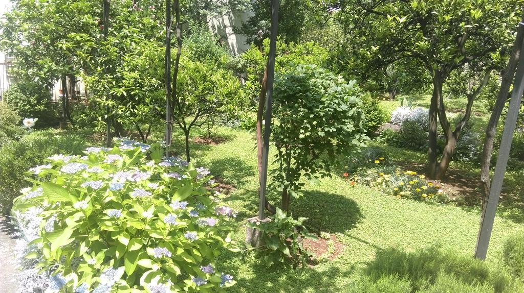 Apartment Ruzica Krstic Herceg Novi Eksteriør billede